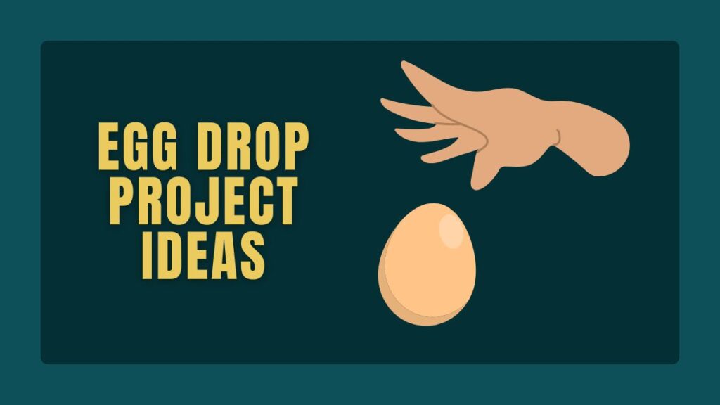 Egg Drop Project Ideas