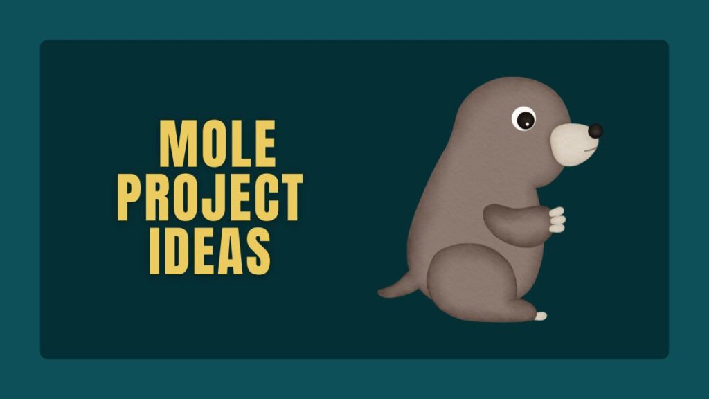 Mole Project Ideas
