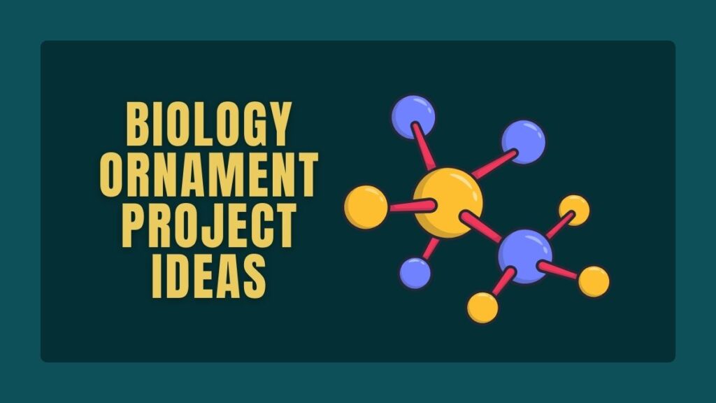 Biology Ornament Project Ideas