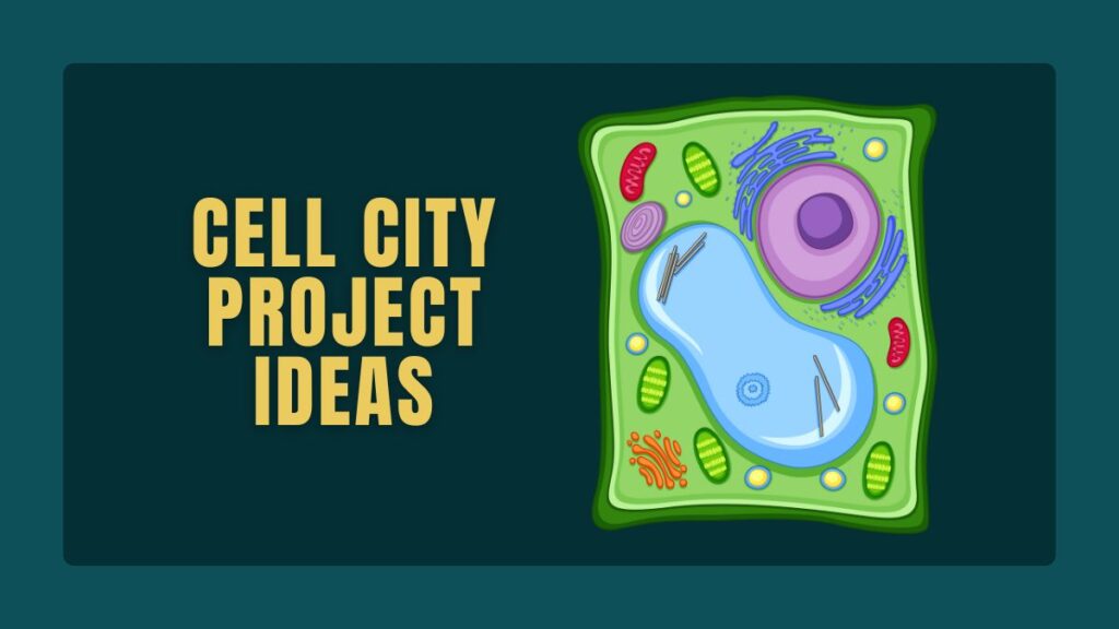 Cell City Project Ideas