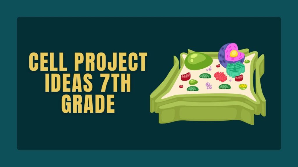 Cell Project Ideas 7th Grade