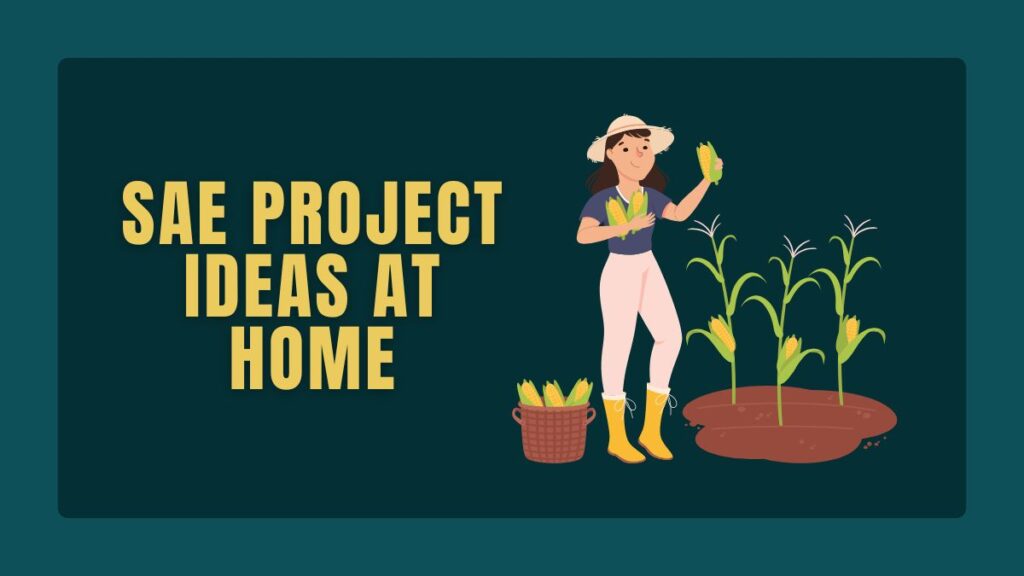 SAE Project Ideas at Home