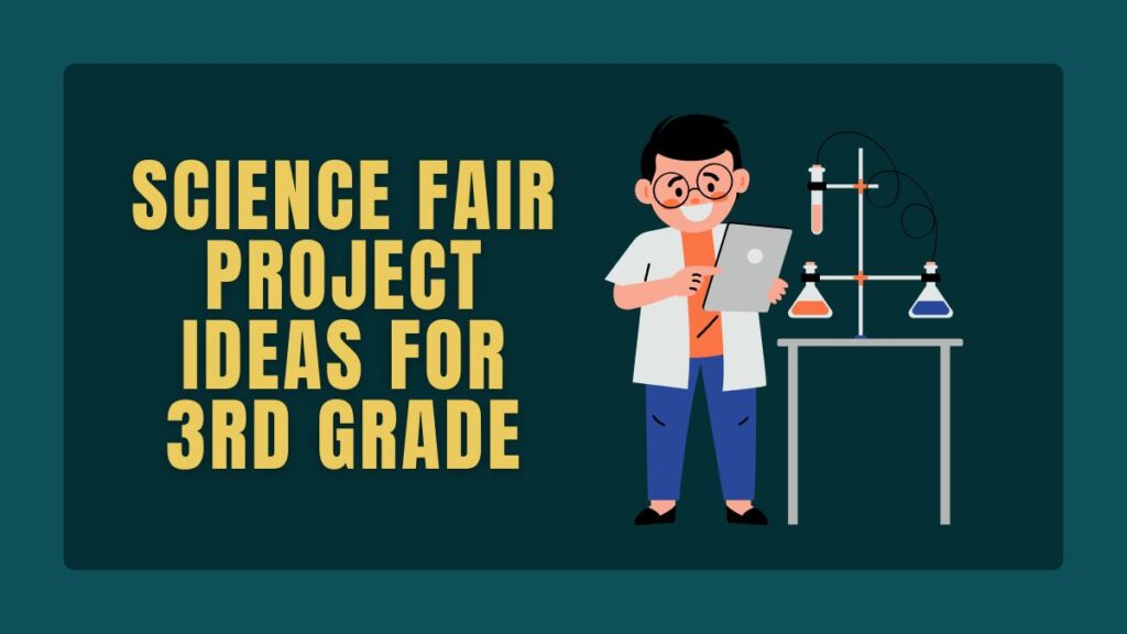 science fair project ideas for 3rd grade