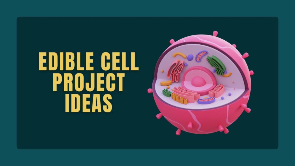 Edible Cell Project Ideas