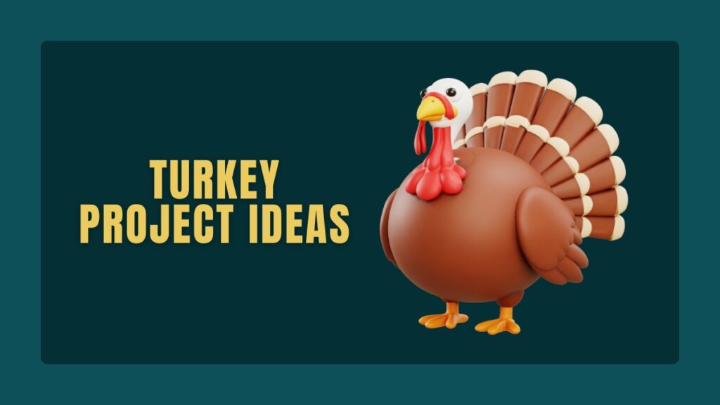 Turkey Project Ideas