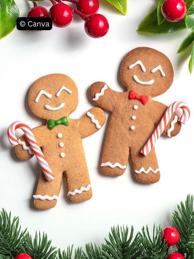 9 Best Gingerbread Man Disguises That’ll Wow Your Friends!