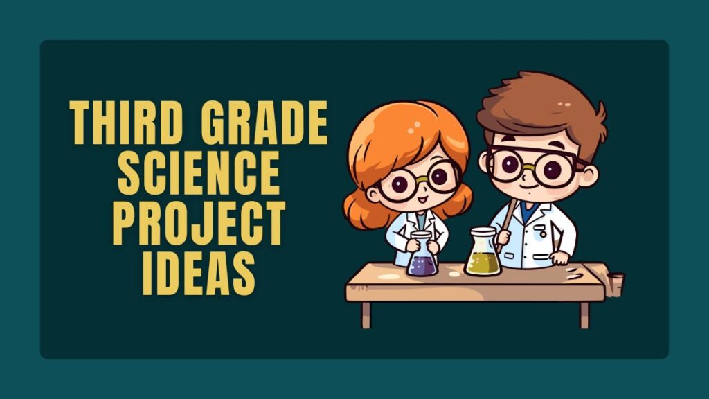 Third Grade Science Project Ideas